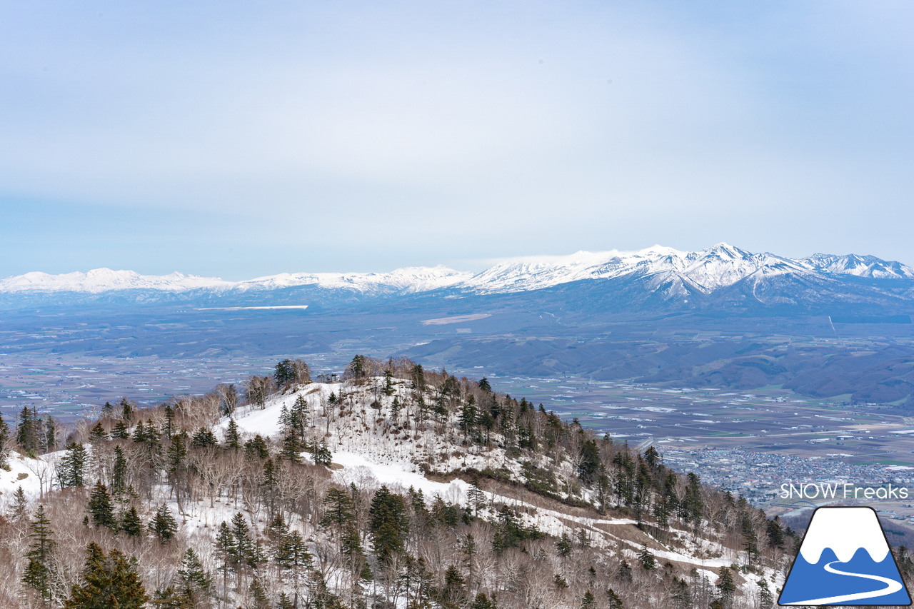 富良野スキー場｜高度感たっぷり、標高900ｍの別世界。大雪山系を望む絶景と春雪を思いっきり楽しみましょう！